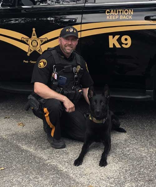 Billie, Malinois