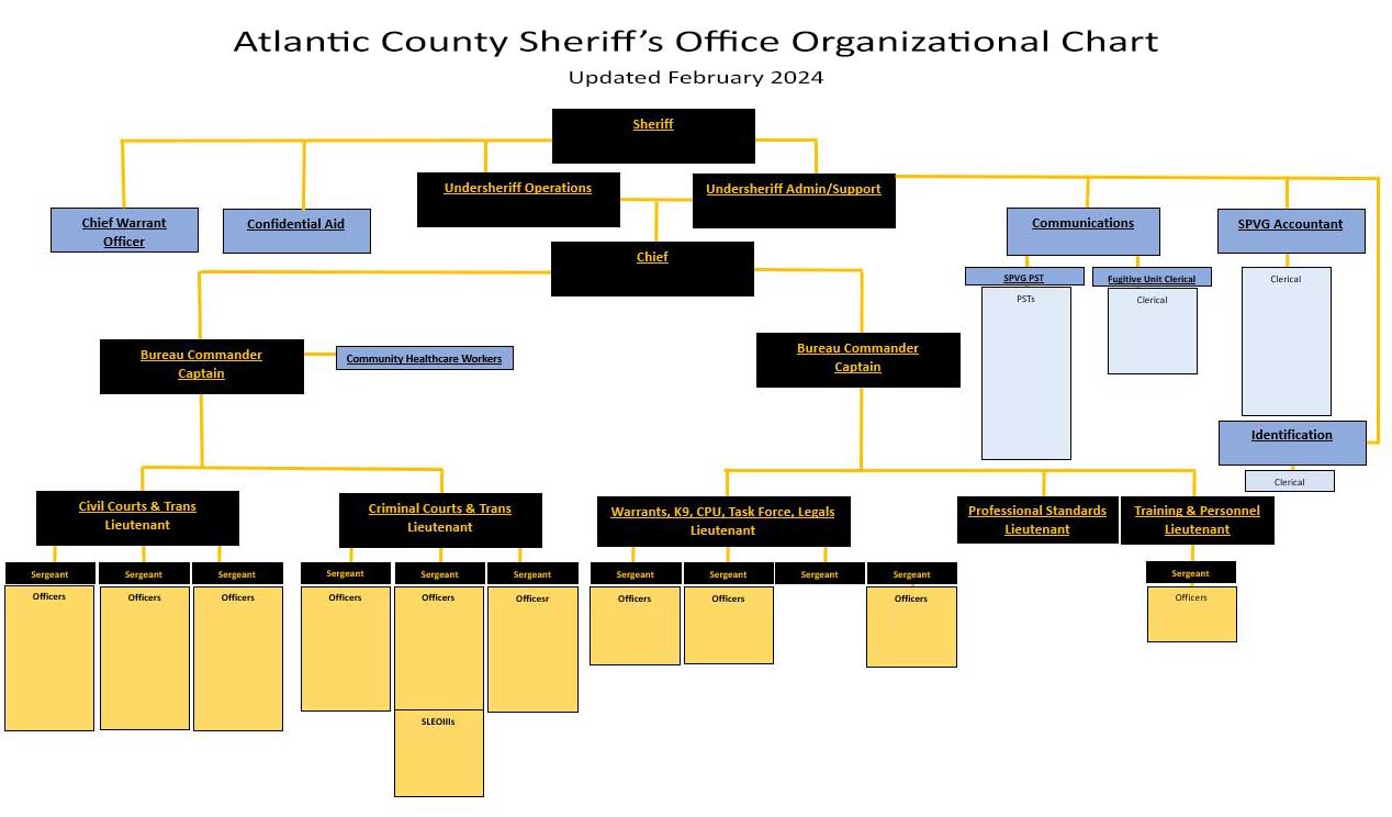 Organizational Chart